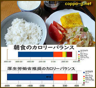 太らない見た目良しカロリー良しご飯 しあわせご飯